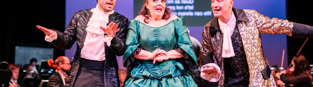 The Barber of Seville