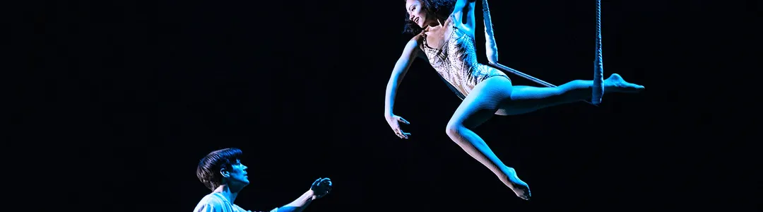 Water for Elephants - The Musical