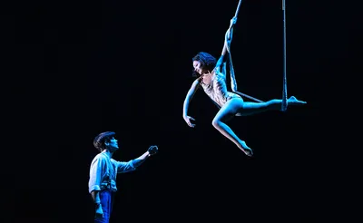 Water for Elephants - The Musical